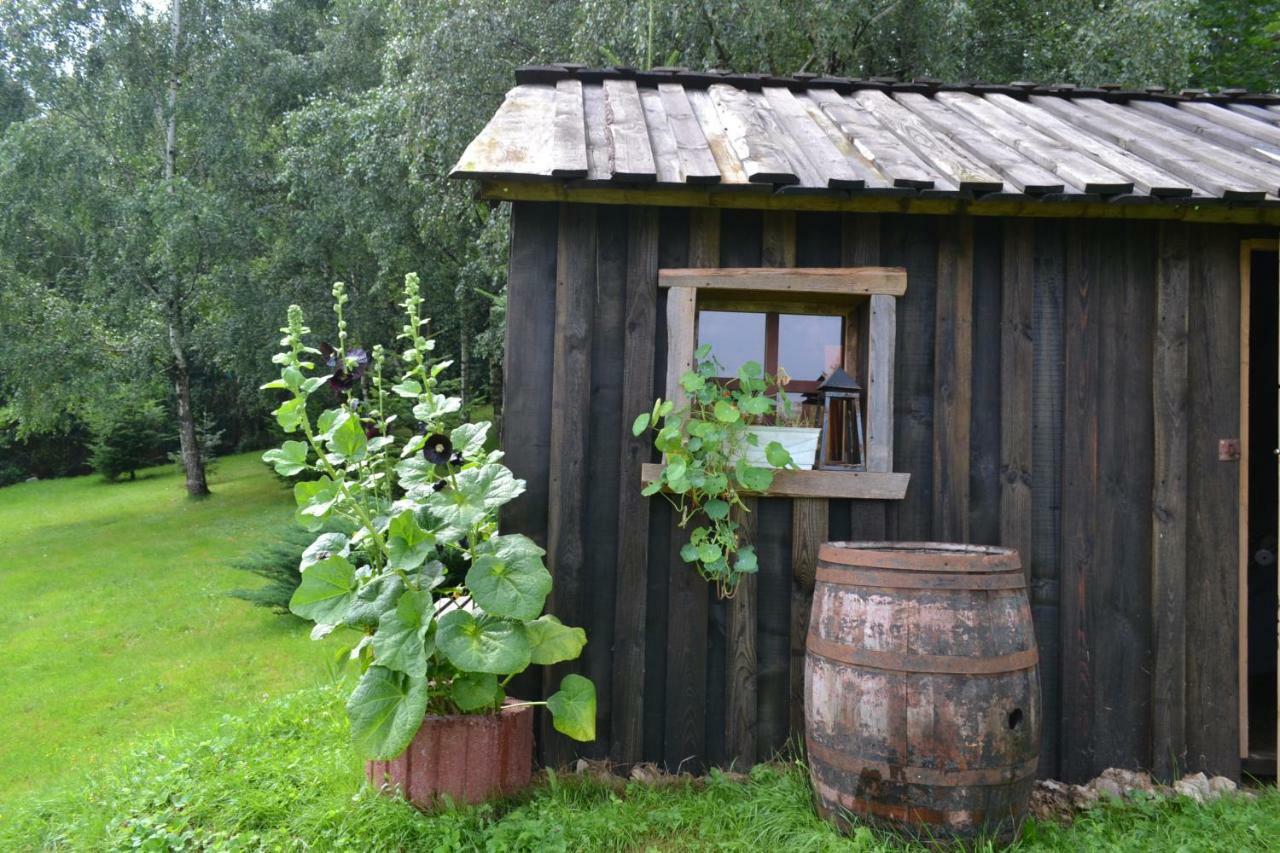 Agroturystyka Teosiowo Pobiedna Kültér fotó