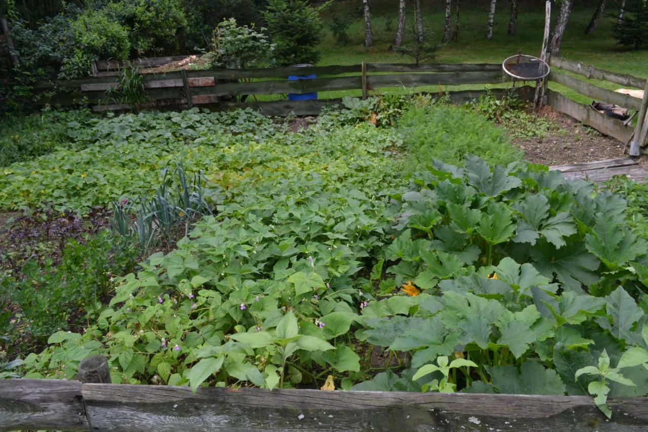 Agroturystyka Teosiowo Pobiedna Kültér fotó